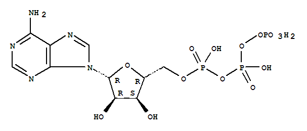 80589-10-2 structure