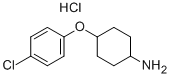 380828-77-3 structure